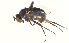  ( - CCDB-23304-C03)  @13 [ ] CreativeCommons - Attribution (2015) CBG Photography Group Centre for Biodiversity Genomics