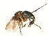  ( - CCDB-23304-C10)  @14 [ ] CreativeCommons - Attribution (2015) CBG Photography Group Centre for Biodiversity Genomics