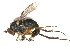 ( - CCDB-23304-D05)  @12 [ ] CreativeCommons - Attribution (2015) CBG Photography Group Centre for Biodiversity Genomics