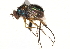  ( - CCDB-23304-D07)  @11 [ ] CreativeCommons - Attribution (2015) CBG Photography Group Centre for Biodiversity Genomics