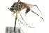  ( - CCDB-23304-D11)  @11 [ ] CreativeCommons - Attribution (2015) CBG Photography Group Centre for Biodiversity Genomics