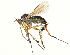  ( - CCDB-23304-E06)  @11 [ ] CreativeCommons - Attribution (2015) CBG Photography Group Centre for Biodiversity Genomics