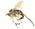  ( - CCDB-23304-E07)  @14 [ ] CreativeCommons - Attribution (2015) CBG Photography Group Centre for Biodiversity Genomics