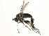  ( - CCDB-23304-F05)  @11 [ ] CreativeCommons - Attribution (2015) CBG Photography Group Centre for Biodiversity Genomics