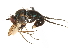  ( - CCDB-23304-F07)  @11 [ ] CreativeCommons - Attribution (2015) CBG Photography Group Centre for Biodiversity Genomics
