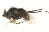  ( - CCDB-23304-G12)  @11 [ ] CreativeCommons - Attribution (2015) CBG Photography Group Centre for Biodiversity Genomics
