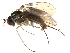  ( - CCDB-23304-H08)  @13 [ ] CreativeCommons - Attribution (2015) CBG Photography Group Centre for Biodiversity Genomics