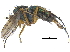  ( - CCDB-23305-A02)  @11 [ ] CreativeCommons - Attribution (2015) CBG Photography Group Centre for Biodiversity Genomics