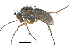  ( - CCDB-23305-B09)  @15 [ ] CreativeCommons - Attribution (2015) CBG Photography Group Centre for Biodiversity Genomics