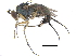  ( - CCDB-23305-D05)  @15 [ ] CreativeCommons - Attribution (2015) CBG Photography Group Centre for Biodiversity Genomics