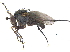  ( - CCDB-23305-E11)  @11 [ ] CreativeCommons - Attribution (2015) CBG Photography Group Centre for Biodiversity Genomics