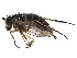  ( - CCDB-23306-C07)  @14 [ ] CreativeCommons - Attribution (2015) CBG Photography Group Centre for Biodiversity Genomics