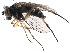  ( - CCDB-23306-C09)  @11 [ ] CreativeCommons - Attribution (2015) CBG Photography Group Centre for Biodiversity Genomics