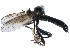  ( - CCDB-23306-H05)  @15 [ ] CreativeCommons - Attribution (2015) CBG Photography Group Centre for Biodiversity Genomics