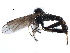  ( - CCDB-23306-H06)  @14 [ ] CreativeCommons - Attribution (2015) CBG Photography Group Centre for Biodiversity Genomics
