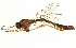  ( - CCDB-23500-B11)  @11 [ ] CreativeCommons - Attribution (2015) CBG Photography Group Centre for Biodiversity Genomics