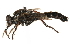  ( - CCDB-23500-D04)  @14 [ ] CreativeCommons - Attribution (2015) CBG Photography Group Centre for Biodiversity Genomics
