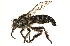  ( - CCDB-23500-D09)  @11 [ ] CreativeCommons - Attribution (2015) CBG Photography Group Centre for Biodiversity Genomics