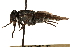  ( - CCDB-23501-D09)  @11 [ ] CreativeCommons - Attribution (2015) CBG Photography Group Centre for Biodiversity Genomics