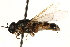  ( - CCDB-23502-E10)  @11 [ ] CreativeCommons - Attribution (2015) CBG Photography Group Centre for Biodiversity Genomics