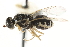  ( - CCDB-23502-F05)  @11 [ ] CreativeCommons - Attribution (2015) CBG Photography Group Centre for Biodiversity Genomics