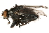  ( - CCDB-23504-B02)  @14 [ ] CreativeCommons - Attribution (2015) CBG Photography Group Centre for Biodiversity Genomics