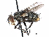  ( - CCDB-23505-D11)  @11 [ ] CreativeCommons - Attribution (2015) CBG Photography Group Centre for Biodiversity Genomics