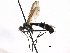  ( - CCDB-23505-E04)  @11 [ ] CreativeCommons - Attribution (2015) CBG Photography Group Centre for Biodiversity Genomics