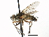  ( - CCDB-23505-E08)  @11 [ ] CreativeCommons - Attribution (2015) CBG Photography Group Centre for Biodiversity Genomics
