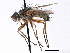  ( - CCDB-23505-E10)  @11 [ ] CreativeCommons - Attribution (2015) CBG Photography Group Centre for Biodiversity Genomics