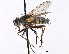  ( - CCDB-23505-E12)  @11 [ ] CreativeCommons - Attribution (2015) CBG Photography Group Centre for Biodiversity Genomics