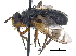  ( - CCDB-23506-B12)  @11 [ ] CreativeCommons - Attribution (2015) CBG Photography Group Centre for Biodiversity Genomics