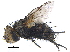  ( - CCDB-23506-D06)  @14 [ ] CreativeCommons - Attribution (2015) CBG Photography Group Centre for Biodiversity Genomics