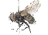  ( - CCDB-23506-E08)  @14 [ ] CreativeCommons - Attribution (2015) CBG Photography Group Centre for Biodiversity Genomics