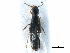  ( - CCDB-23507-H07)  @11 [ ] CreativeCommons - Attribution (2015) CBG Photography Group Centre for Biodiversity Genomics