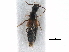  ( - CCDB-23509-A05)  @11 [ ] CreativeCommons - Attribution (2015) CBG Photography Group Centre for Biodiversity Genomics