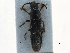  ( - CCDB-23510-C08)  @11 [ ] CreativeCommons - Attribution (2015) CBG Photography Group Centre for Biodiversity Genomics