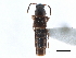  ( - CCDB-23510-D08)  @11 [ ] CreativeCommons - Attribution (2015) CBG Photography Group Centre for Biodiversity Genomics