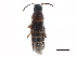  ( - CCDB-23510-D10)  @11 [ ] CreativeCommons - Attribution (2015) CBG Photography Group Centre for Biodiversity Genomics