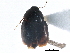  ( - CCDB-23510-F05)  @11 [ ] CreativeCommons - Attribution (2015) CBG Photography Group Centre for Biodiversity Genomics
