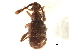  ( - CCDB-23511-B02)  @11 [ ] CreativeCommons - Attribution (2015) CBG Photography Group Centre for Biodiversity Genomics