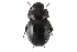  ( - CCDB-23511-G05)  @11 [ ] CreativeCommons - Attribution (2015) CBG Photography Group Centre for Biodiversity Genomics