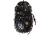  (Copris fricator - CCDB-23512-C06)  @15 [ ] CreativeCommons - Attribution (2015) CBG Photography Group Centre for Biodiversity Genomics