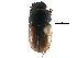  ( - CCDB-23512-G12)  @11 [ ] CreativeCommons - Attribution (2015) CBG Photography Group Centre for Biodiversity Genomics