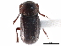  ( - CCDB-23513-C08)  @11 [ ] CreativeCommons - Attribution (2015) CBG Photography Group Centre for Biodiversity Genomics