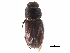  ( - CCDB-23513-G07)  @11 [ ] CreativeCommons - Attribution (2015) CBG Photography Group Centre for Biodiversity Genomics