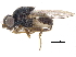  ( - CCDB-23515-C09)  @13 [ ] CreativeCommons - Attribution (2015) CBG Photography Group Centre for Biodiversity Genomics