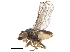  ( - CCDB-23515-E07)  @14 [ ] CreativeCommons - Attribution (2015) CBG Photography Group Centre for Biodiversity Genomics