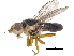  ( - CCDB-23515-G04)  @15 [ ] CreativeCommons - Attribution (2015) CBG Photography Group Centre for Biodiversity Genomics
