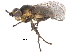  ( - CCDB-23515-G11)  @11 [ ] CreativeCommons - Attribution (2015) CBG Photography Group Centre for Biodiversity Genomics